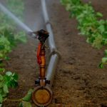 A picture depicting rural irrigation