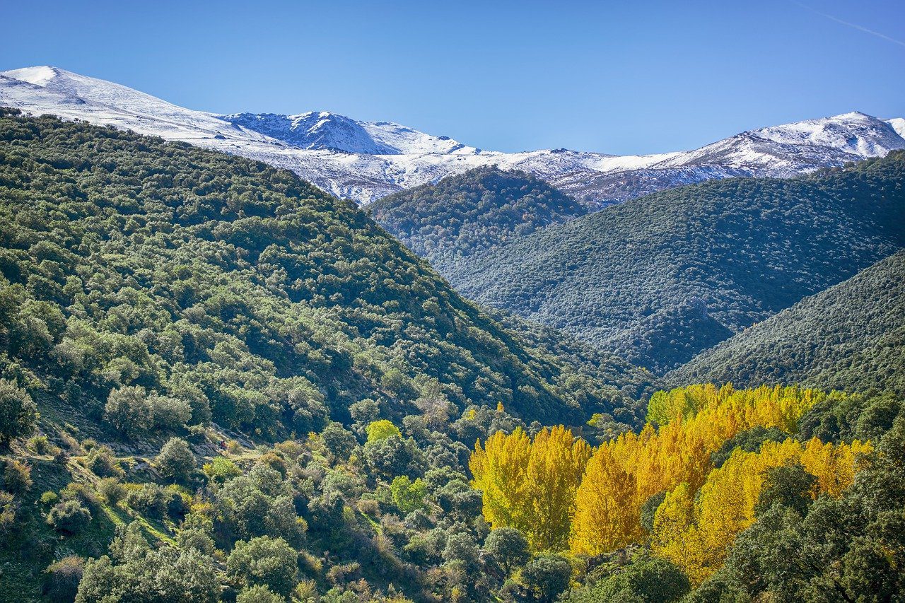 Sierra Nevada mountains and Forest