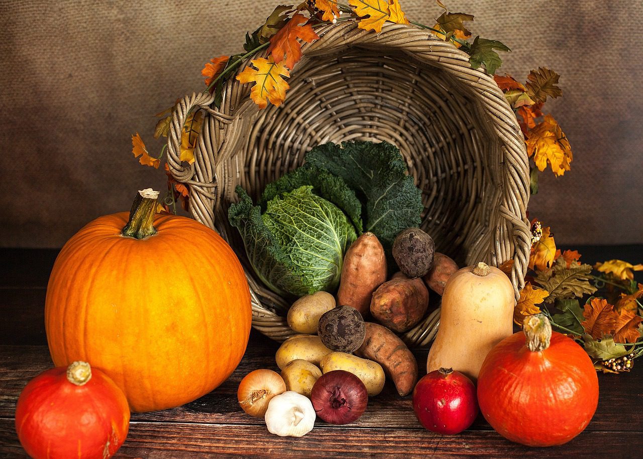 Cornucopia image depicting Thanksgiving season