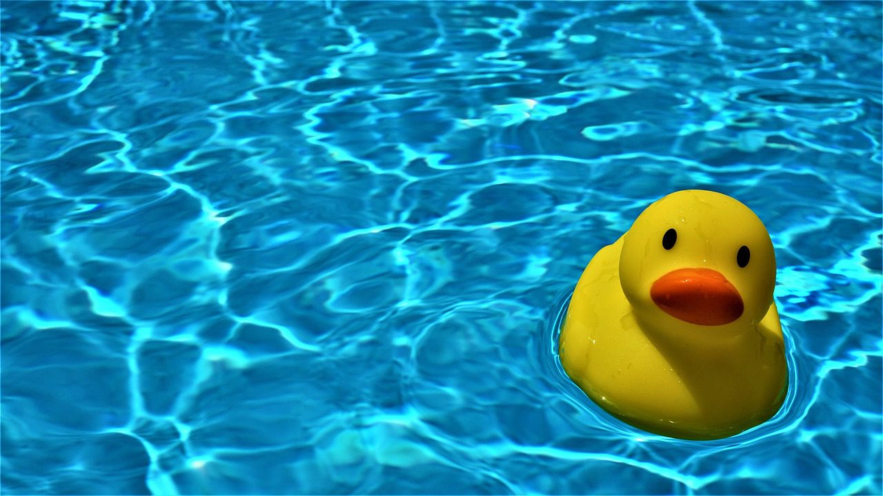 Rubber Ducky image