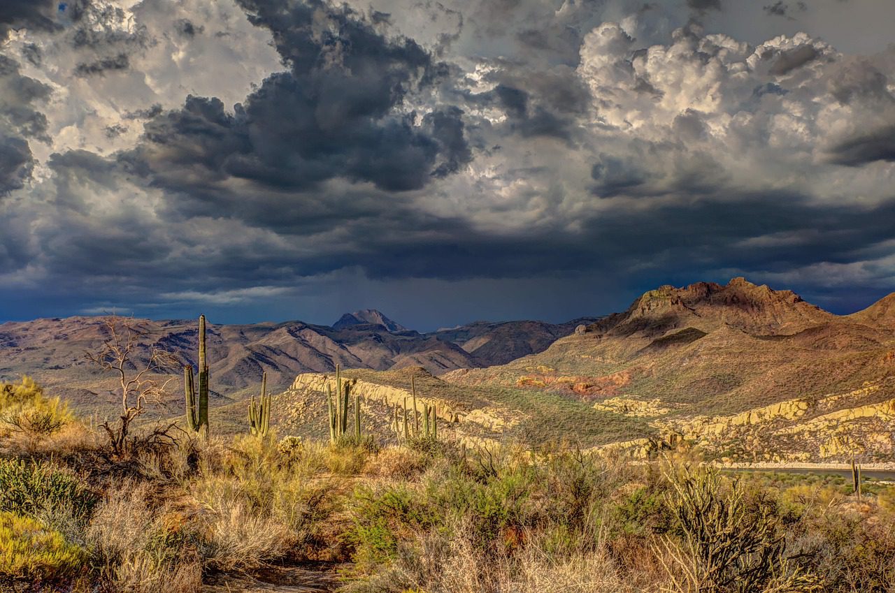 An image of the Arizona desert