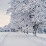 A winter snow scene