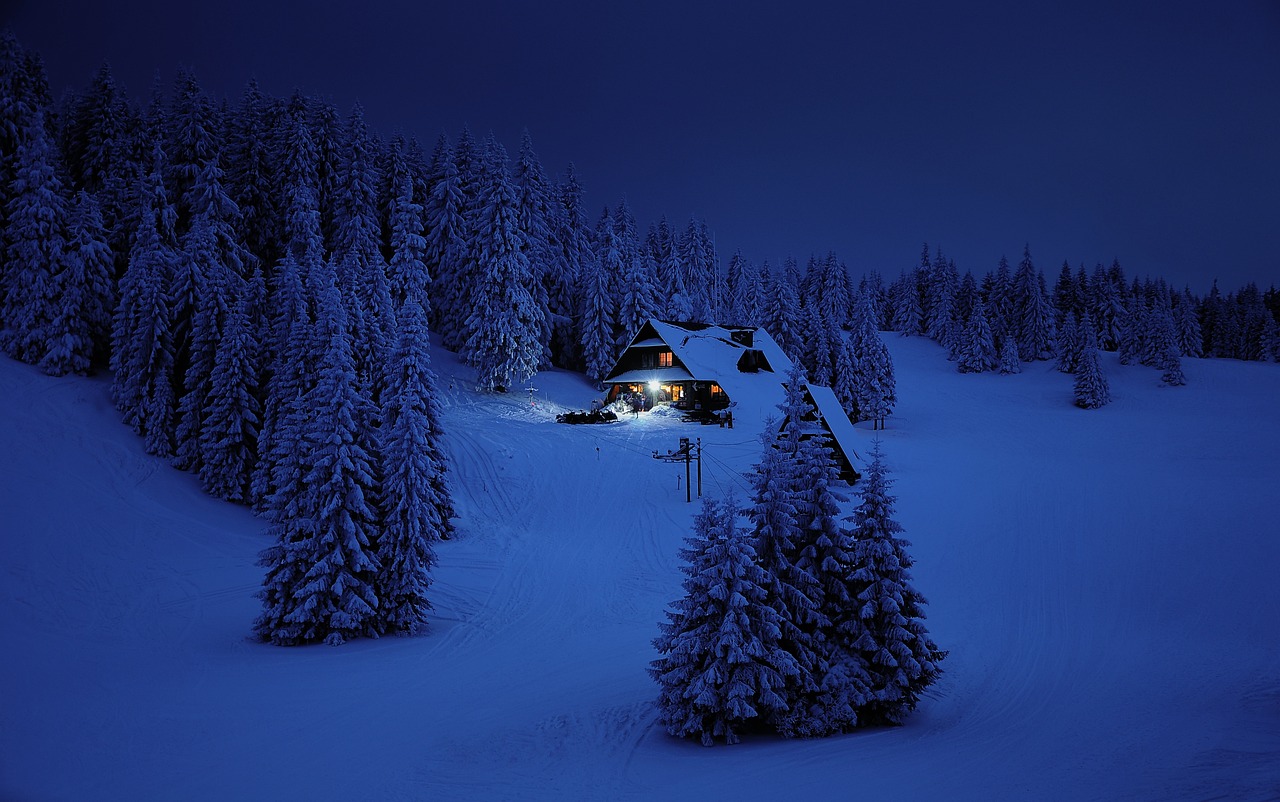 A winter scene