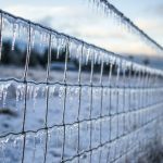 An icy fence following a snow stor