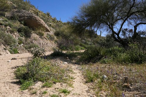 A picture of a hiking area in Arizona