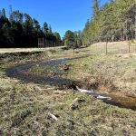 Clover Springs Restoration Project near West Clear Creek in the Verde River watershed