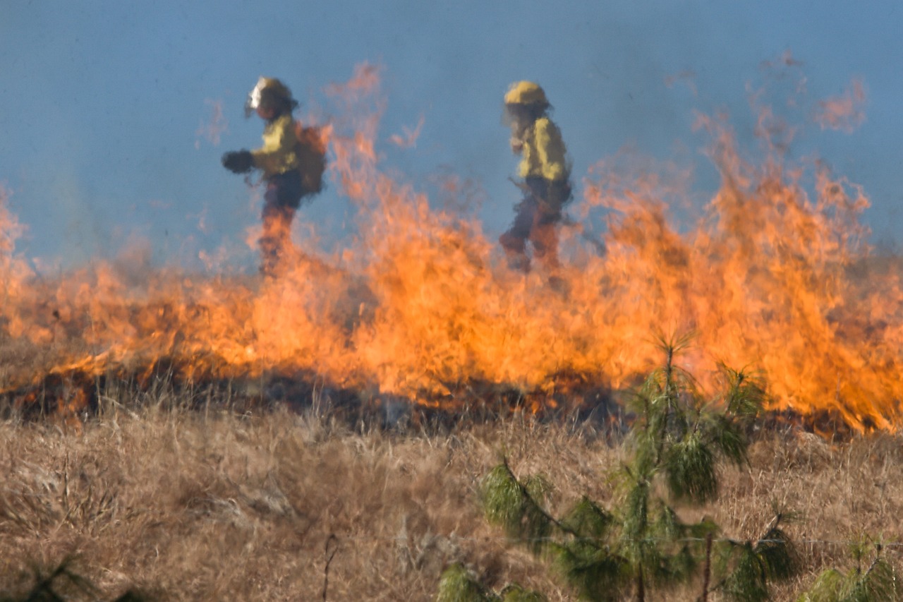 Fighting a wildfire