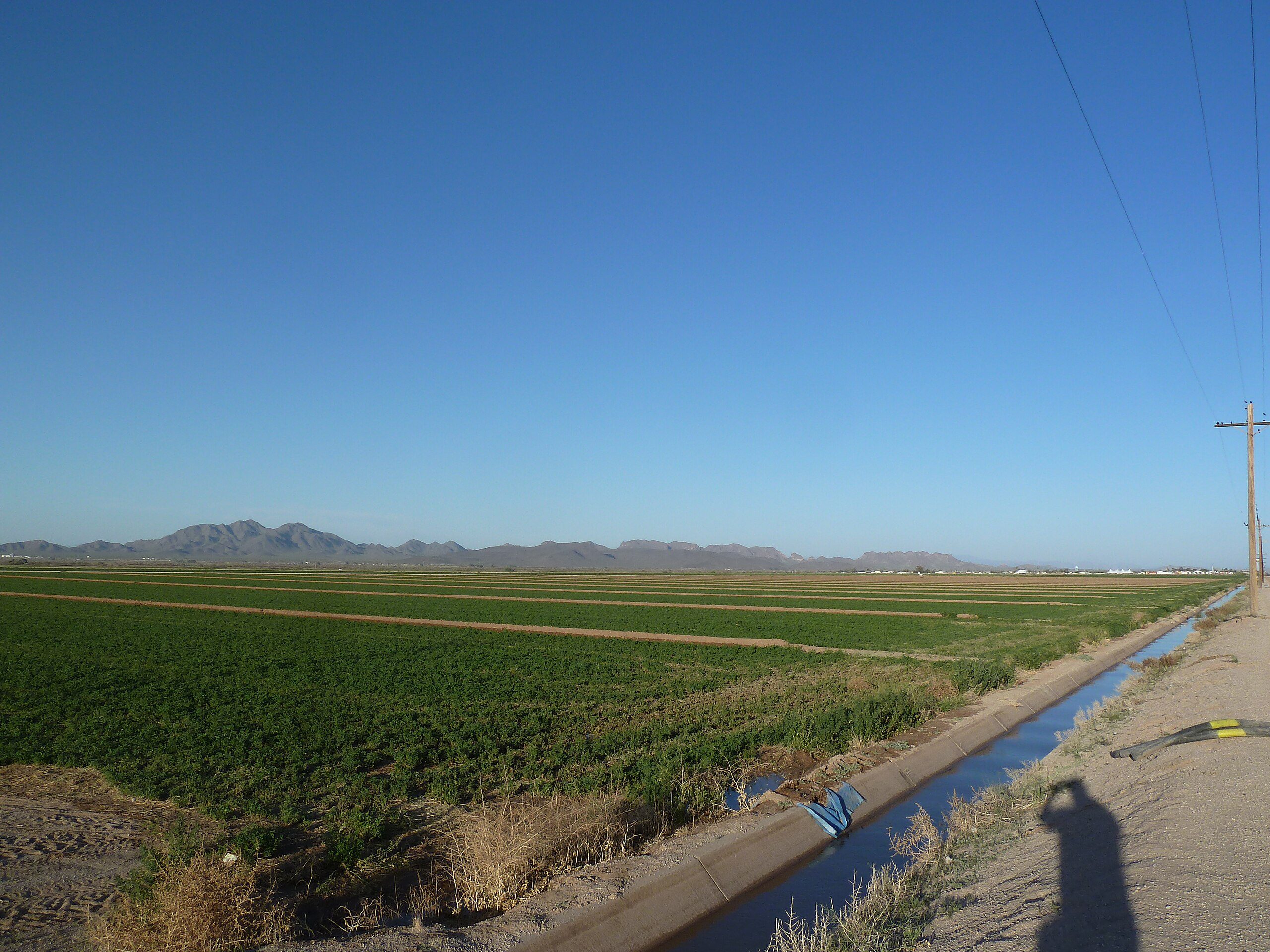 Gila Farms operated by the Gila River Indian Community