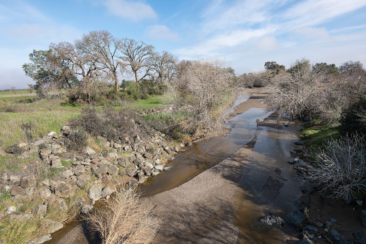 Stream in California's Yolo County