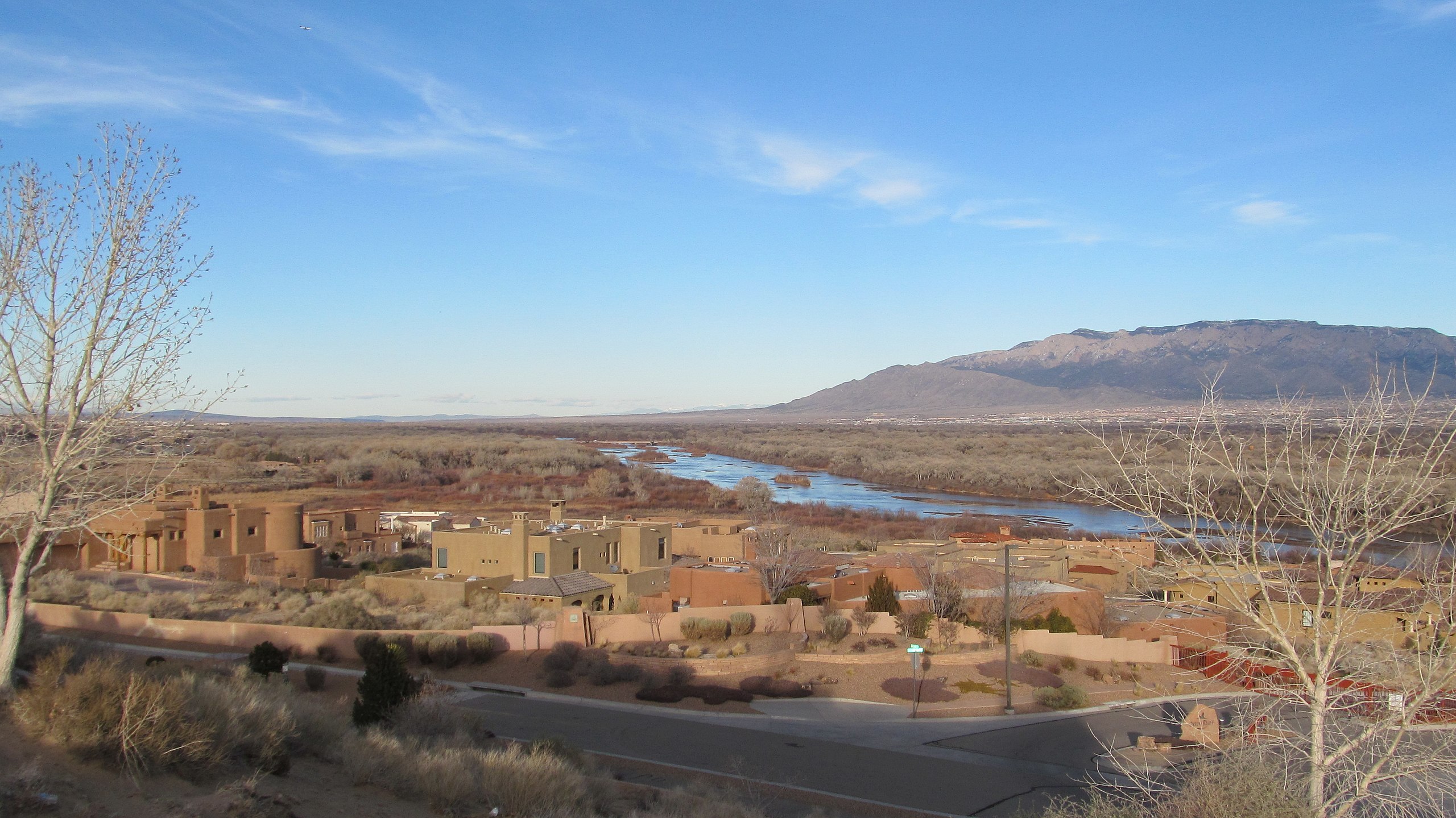 The Rio Grande near Albuquerque