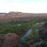 Arizona's Verde River