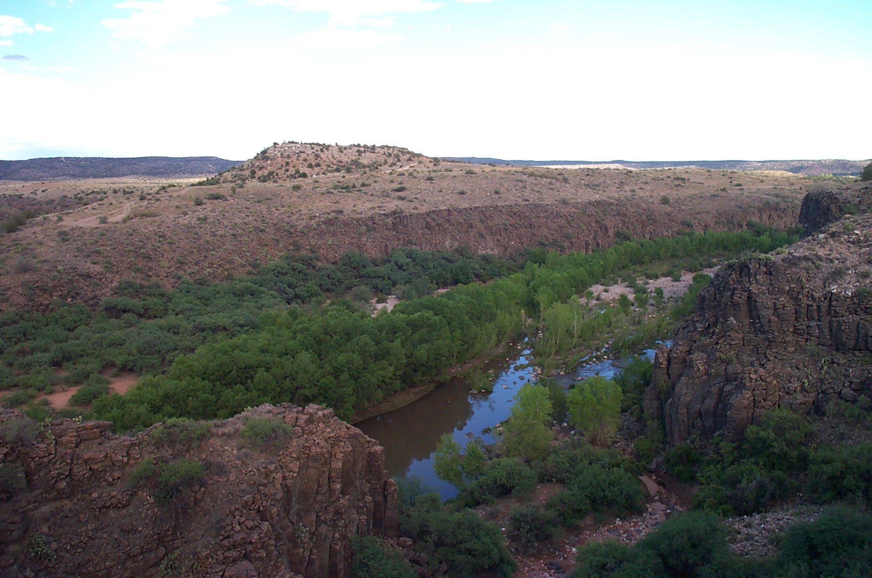 Arizona's Verde River
