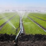 The Imperial Irrigation District reaches a key agreement to save Colorado River water.