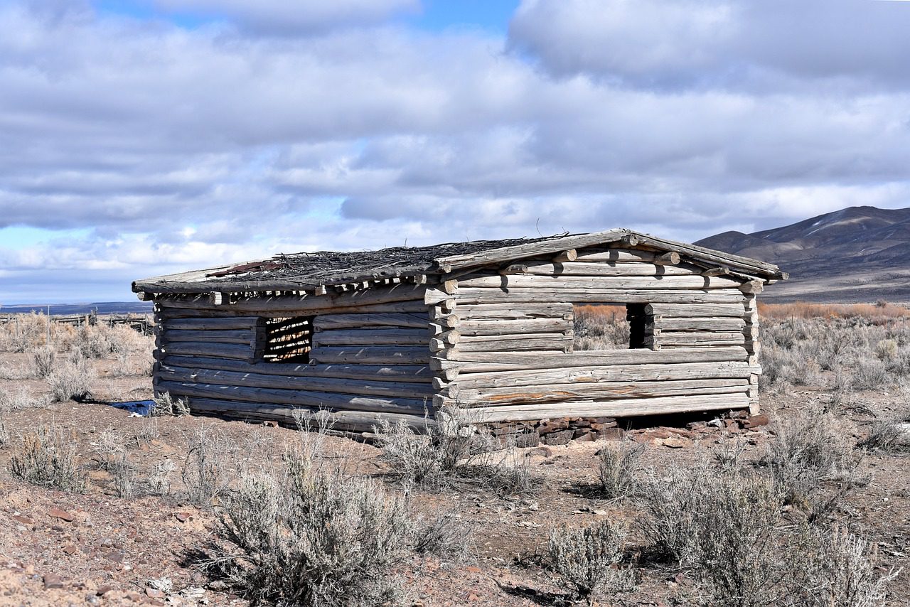 Homestead documents can be used to prove Nevada water rights