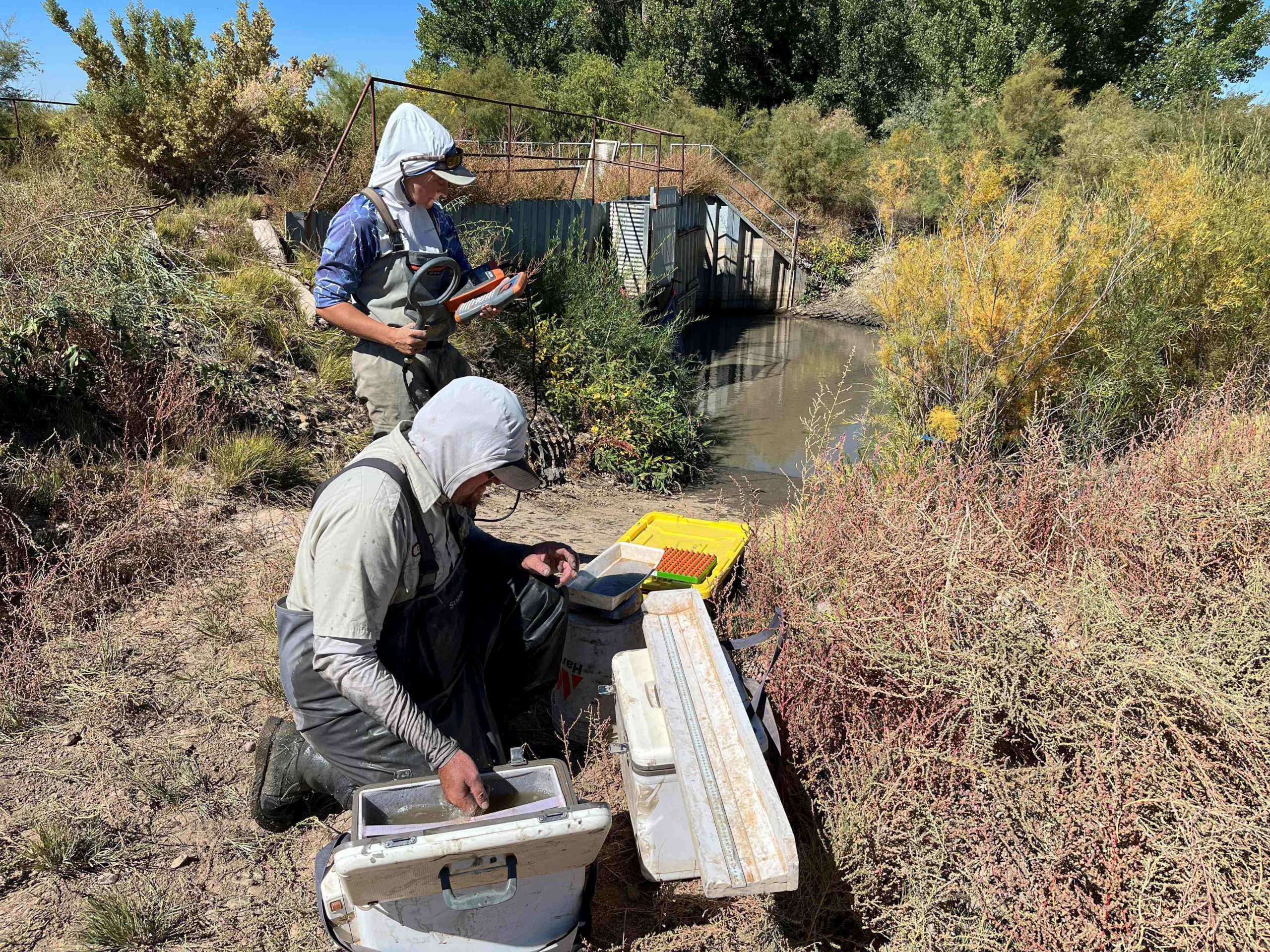 The U.S. Bureau of Reclamation invests $21 million from the Bipartisan Infrastructure Law to support endangered fish recovery programs across the Colorado River Basin.