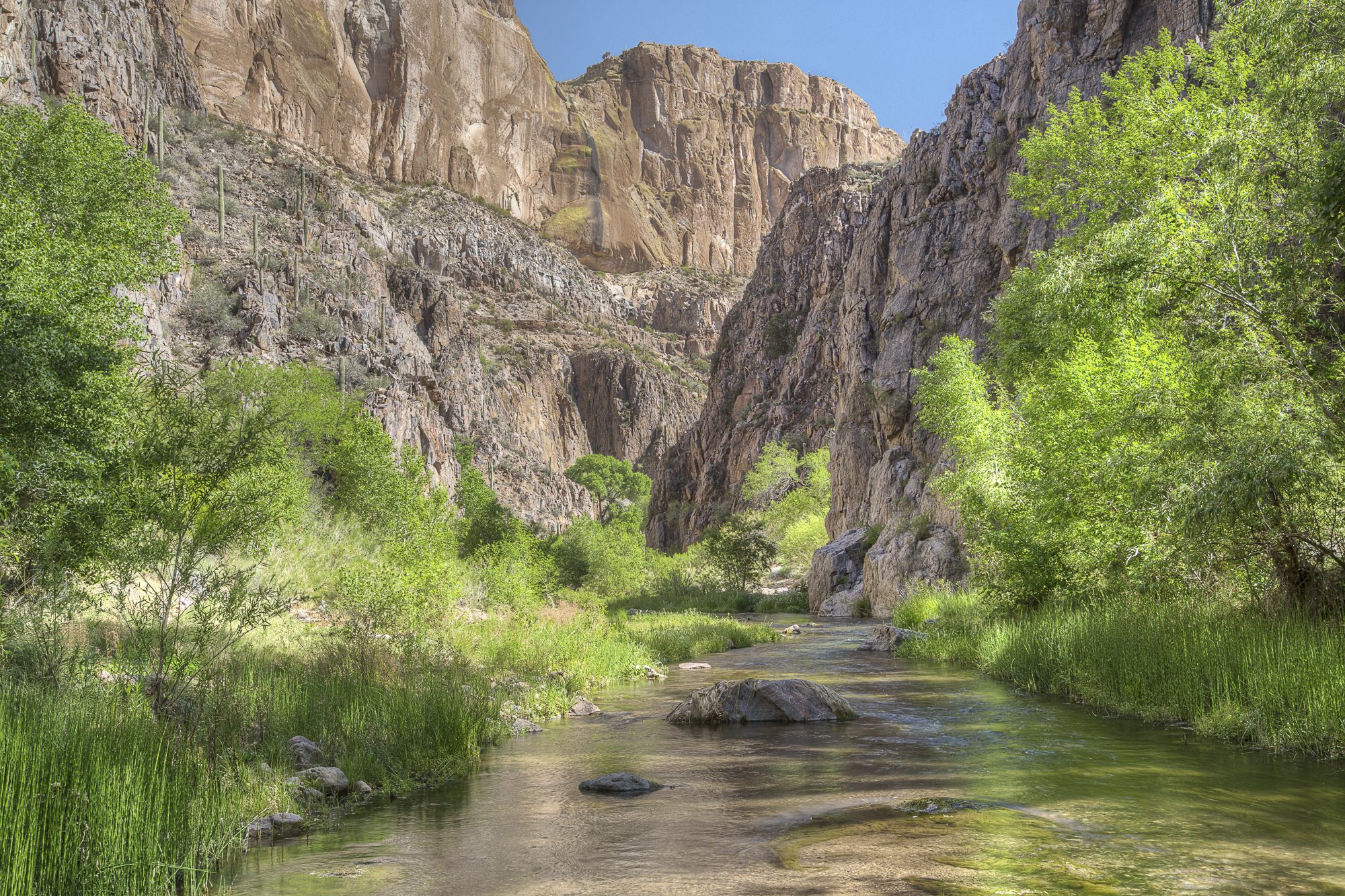Arizona water image: Aravaipa Canyon and Creek
