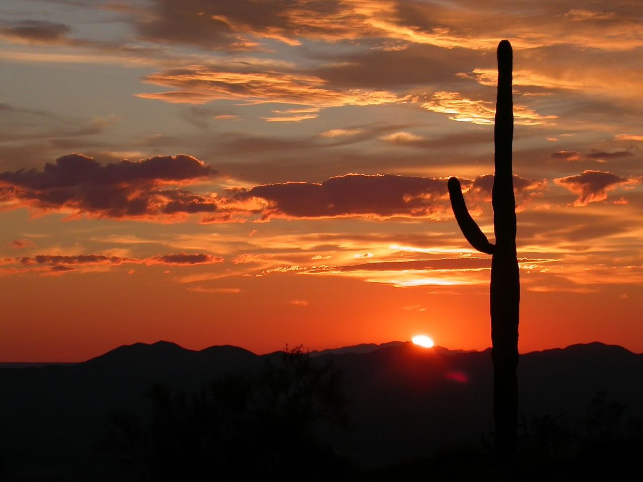 Despite recent wet winters, Arizona faces a hot, dry summer and below-average water year due to an impending La Niña.