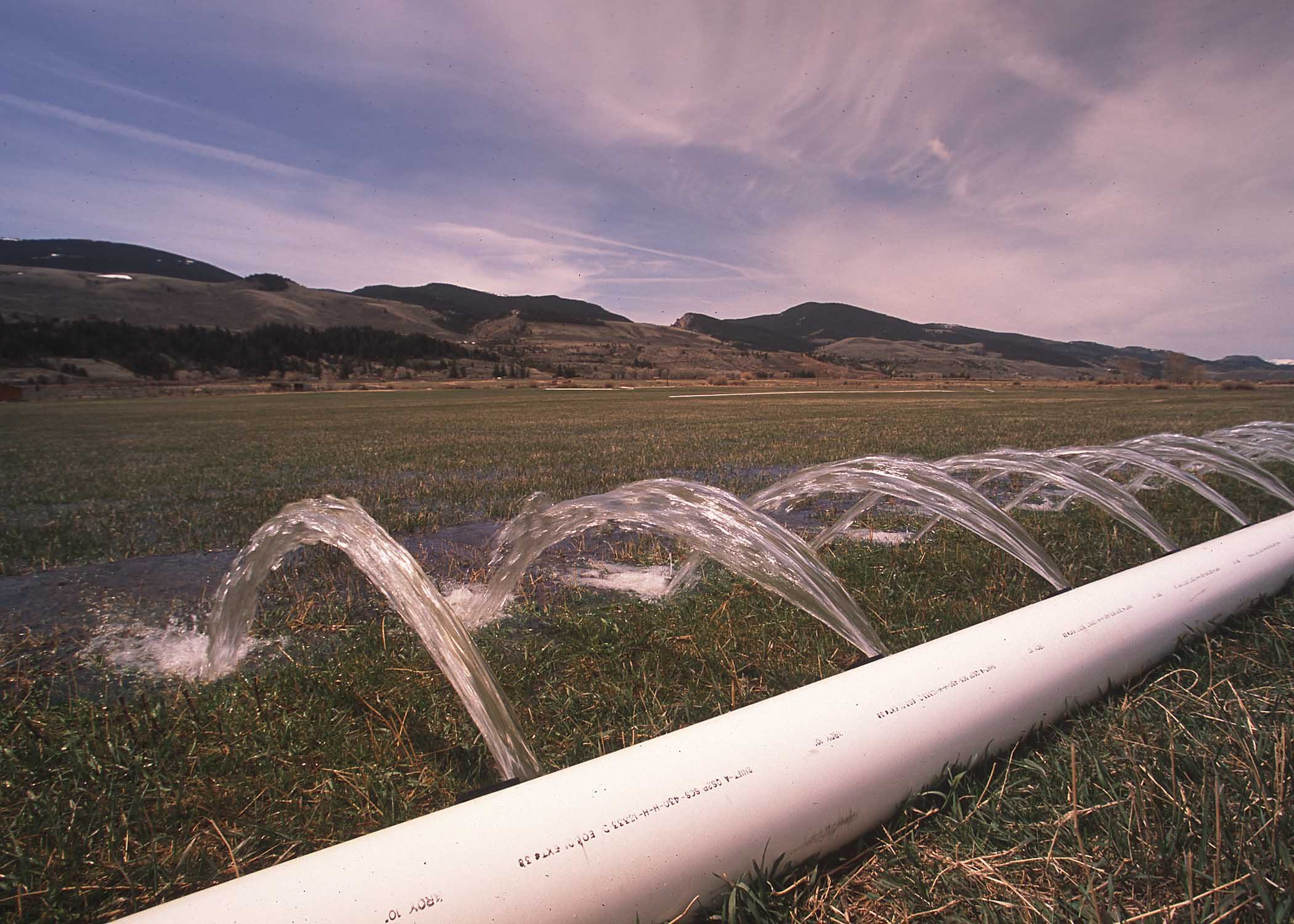 Gated pipe used for flood irrigation in Wyoming