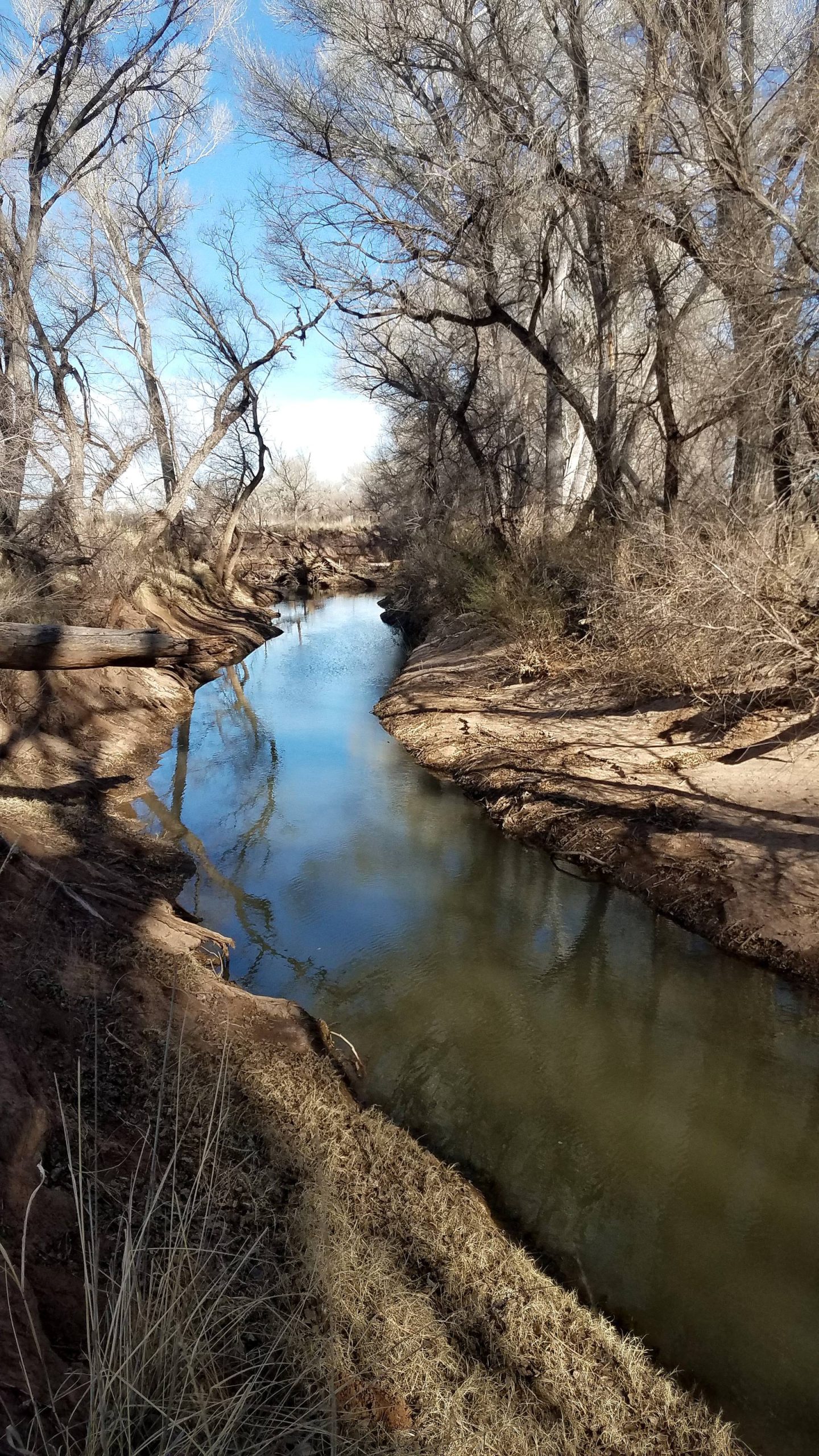 San Pedro River, Cochise County, AZ