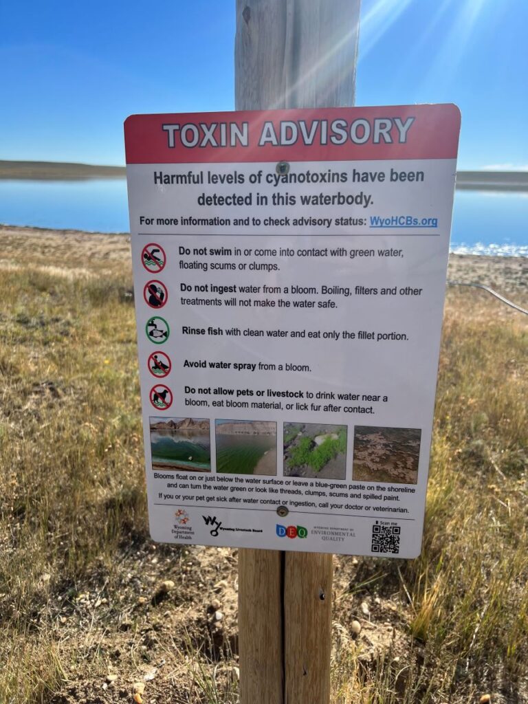 Wyoming officials warn the public to be cautious of harmful algae blooms in lakes and reservoirs this summer and report any sightings or illnesses.