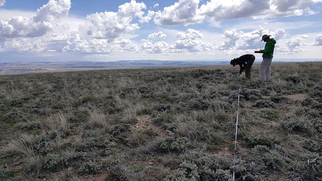 BLM invests $17.6M from the Inflation Reduction Act to expand monitoring of public lands and water in the western U.S., enhancing conservation through data-driven management.