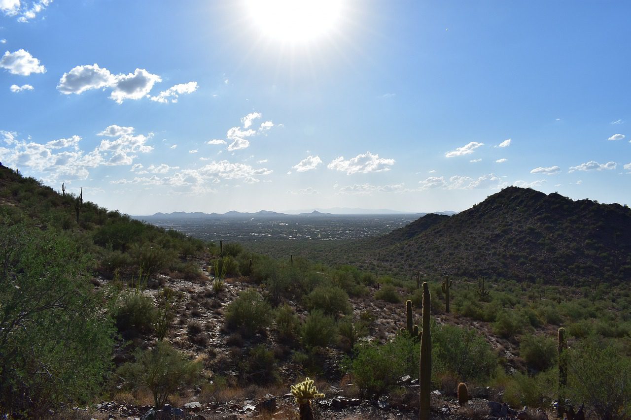 Arizona halts illegal development in Rio Verde Foothills; cracks down on developers evading water laws to protect consumers and preserve scarce water resources.