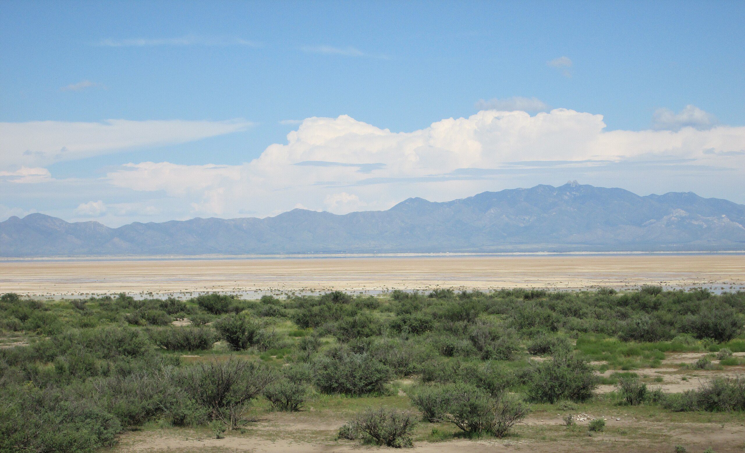 A view of the Willcox Playa, Cochise County, AZ