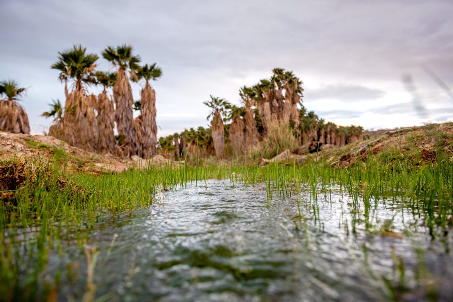 Judge extends lithium drilling halt near Hualapai Tribe's sacred site Ha’Kamwe’, citing likely irreparable harm; tribe's lawsuit continues.