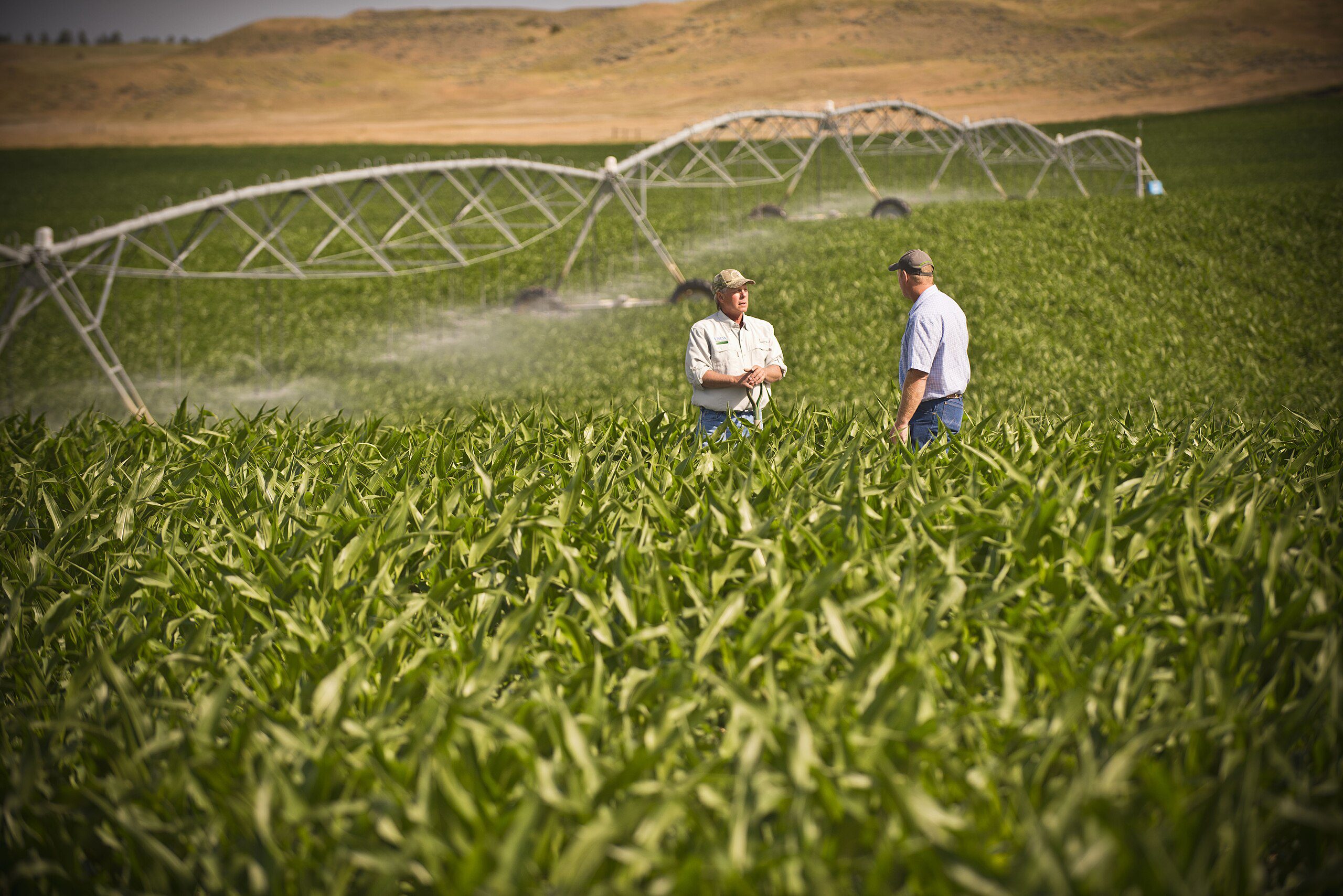 US irrigation declines since 2018, including Colorado River Basin states. Farmers adopt water-saving tech amid rising costs, highlighting the need for sustainable strategies.