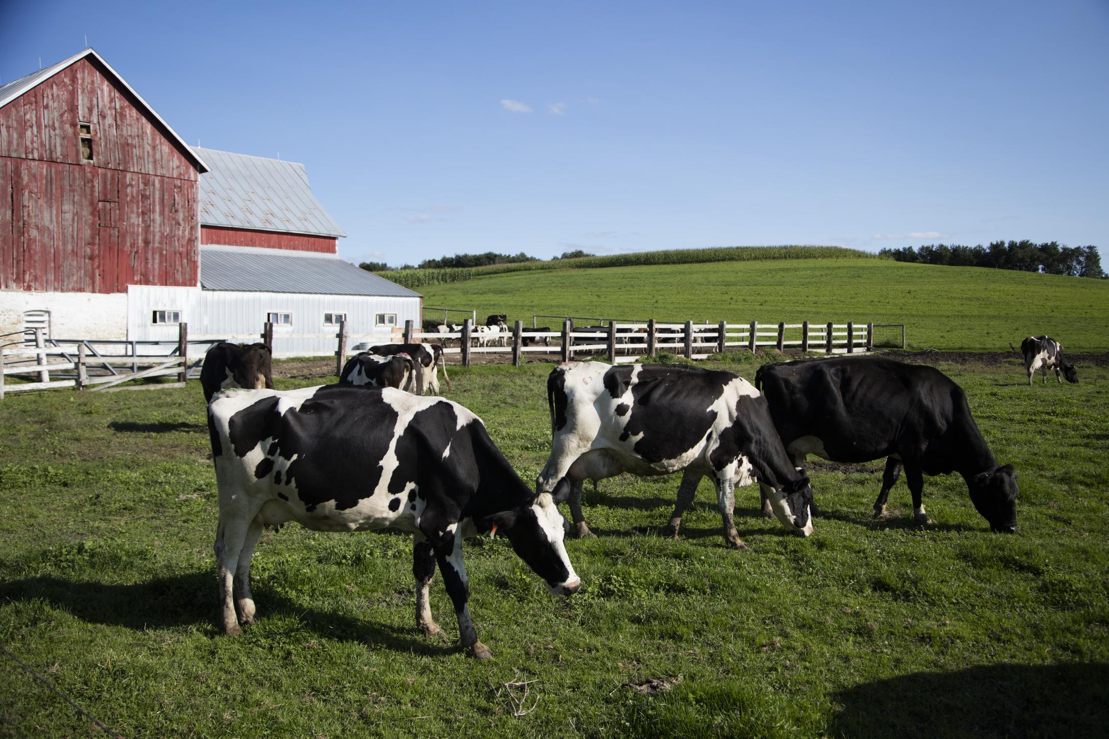 EPA tightens chemical rules to curb PFAS harming farmers, safeguard public health, and phase out cancer-causing solvents.