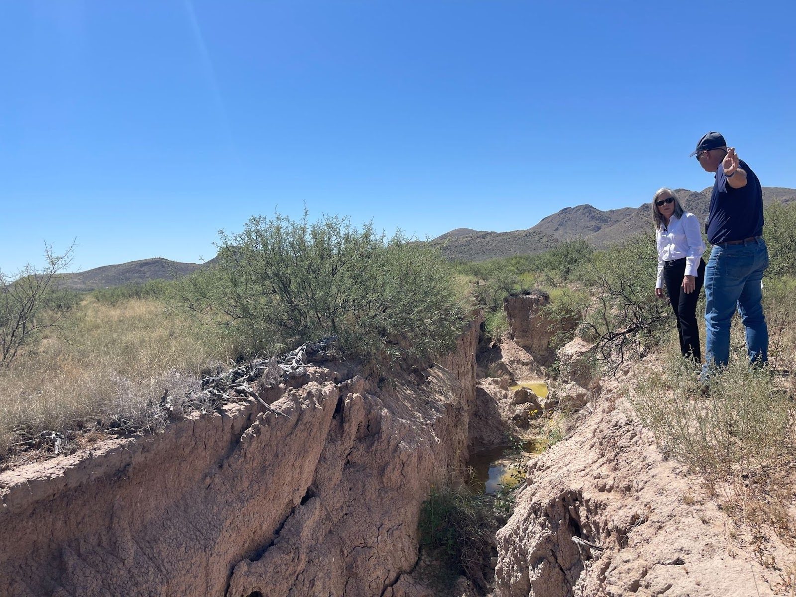 Gov. Hobbs viewing a fissure in Willcox area