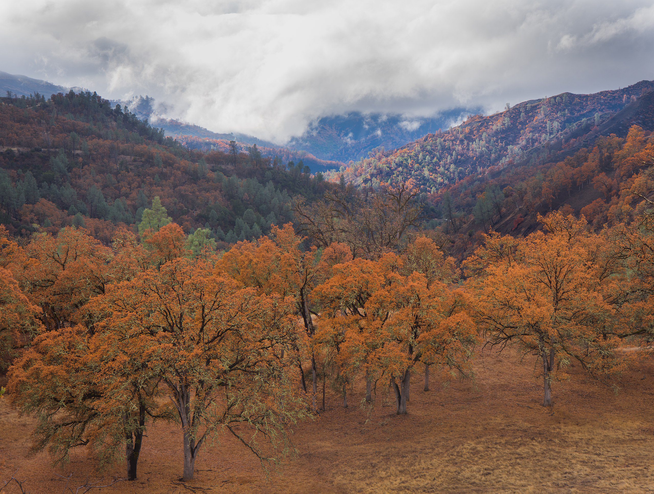 Berryessa Snow Mountain National Monument