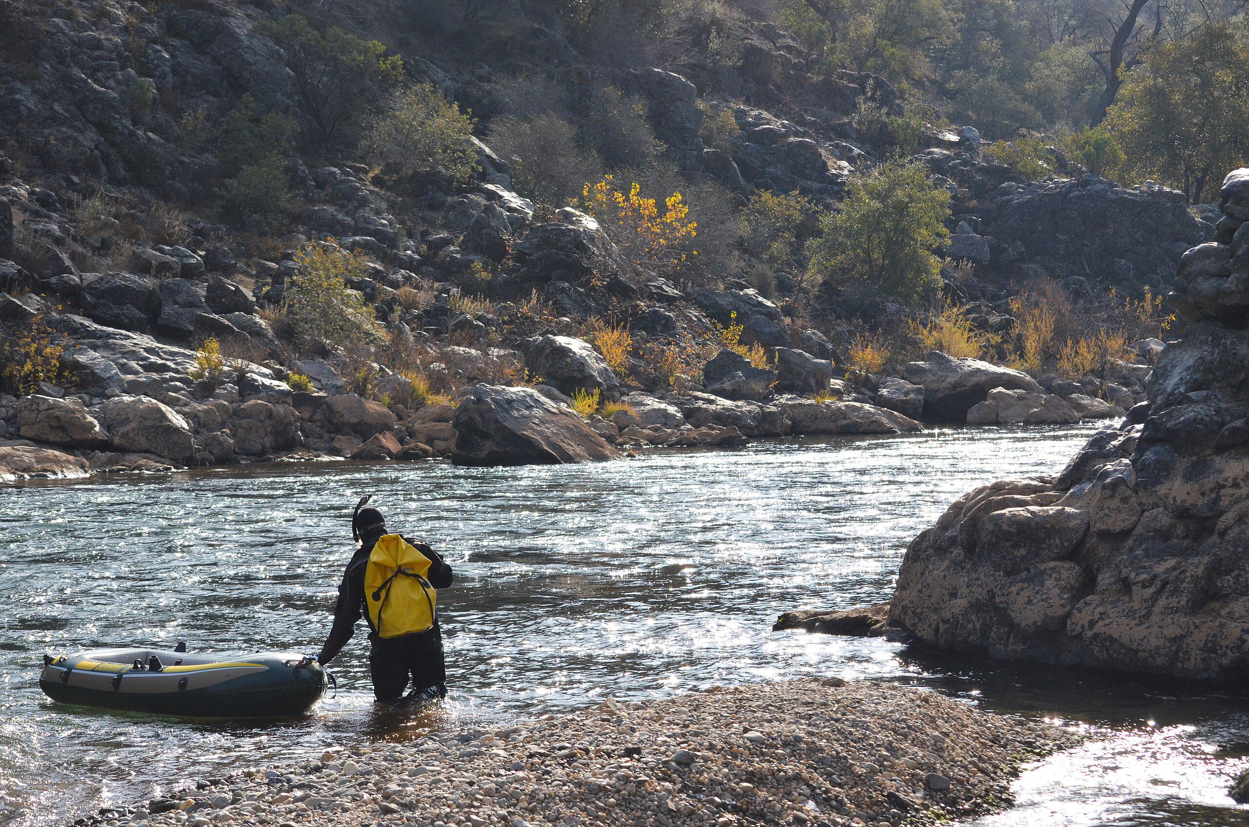 Tracking salmon spawning