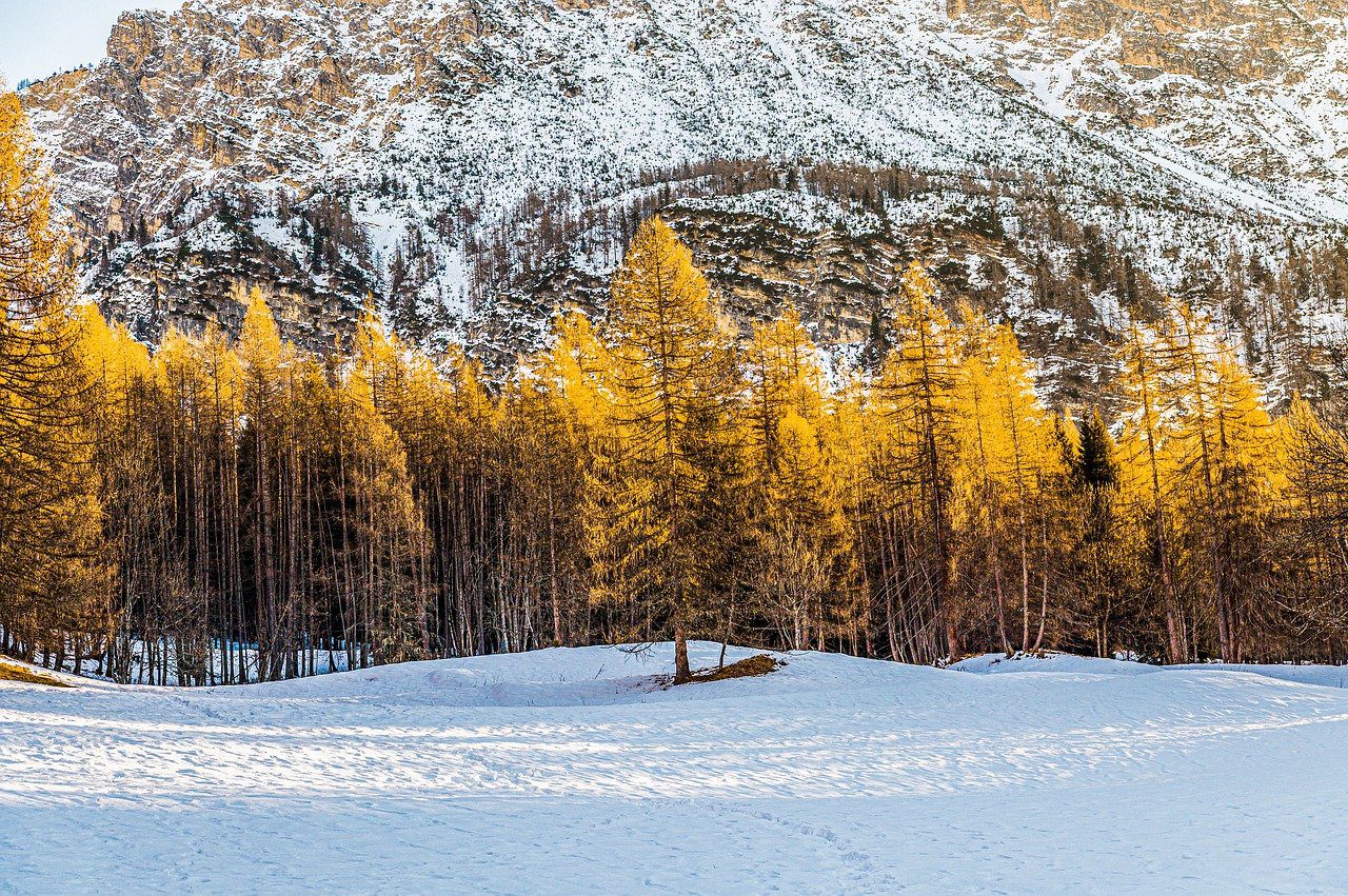 snow in the Rocky Mountains