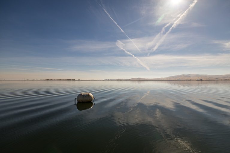 Delta pumping cutbacks begin to protect endangered fish