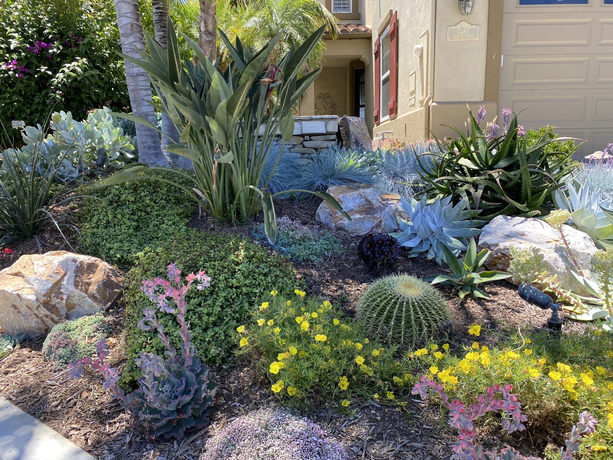 desert waterwise landscaping (licensed content)