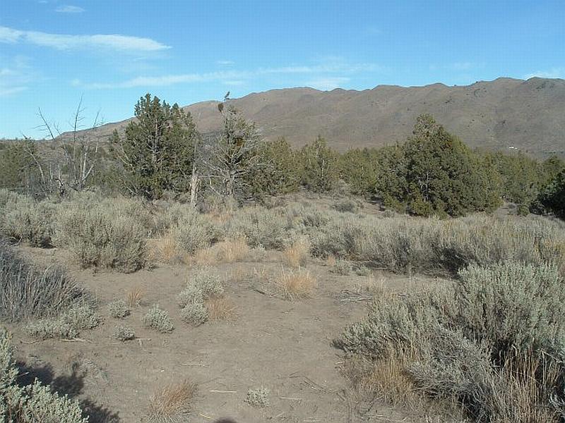 Red Rock Valley, Washoe County, Nevada