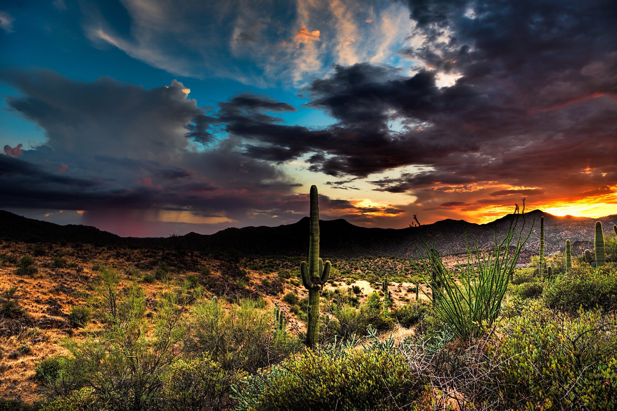beautiful Arizona monsoon scene - licensed content