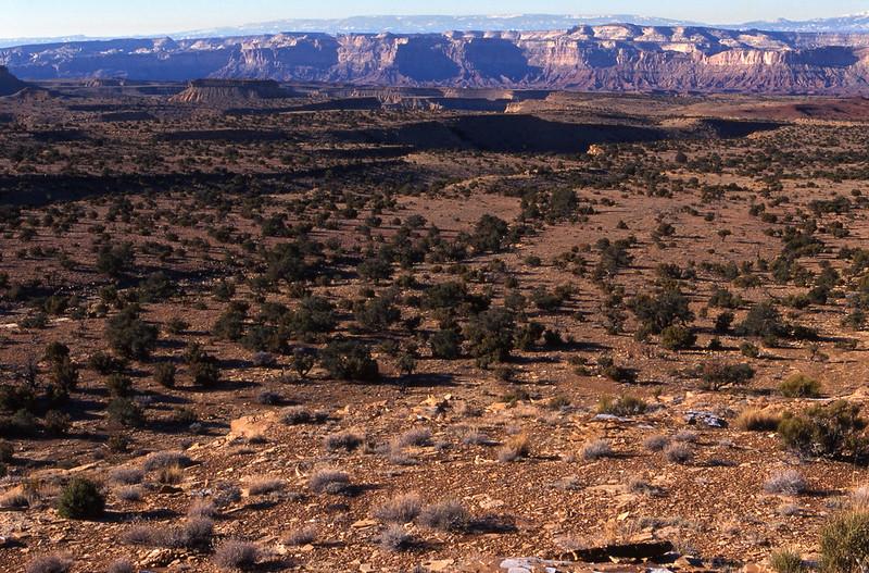 BLM image of the Muddy Creek Wilderness Study Area