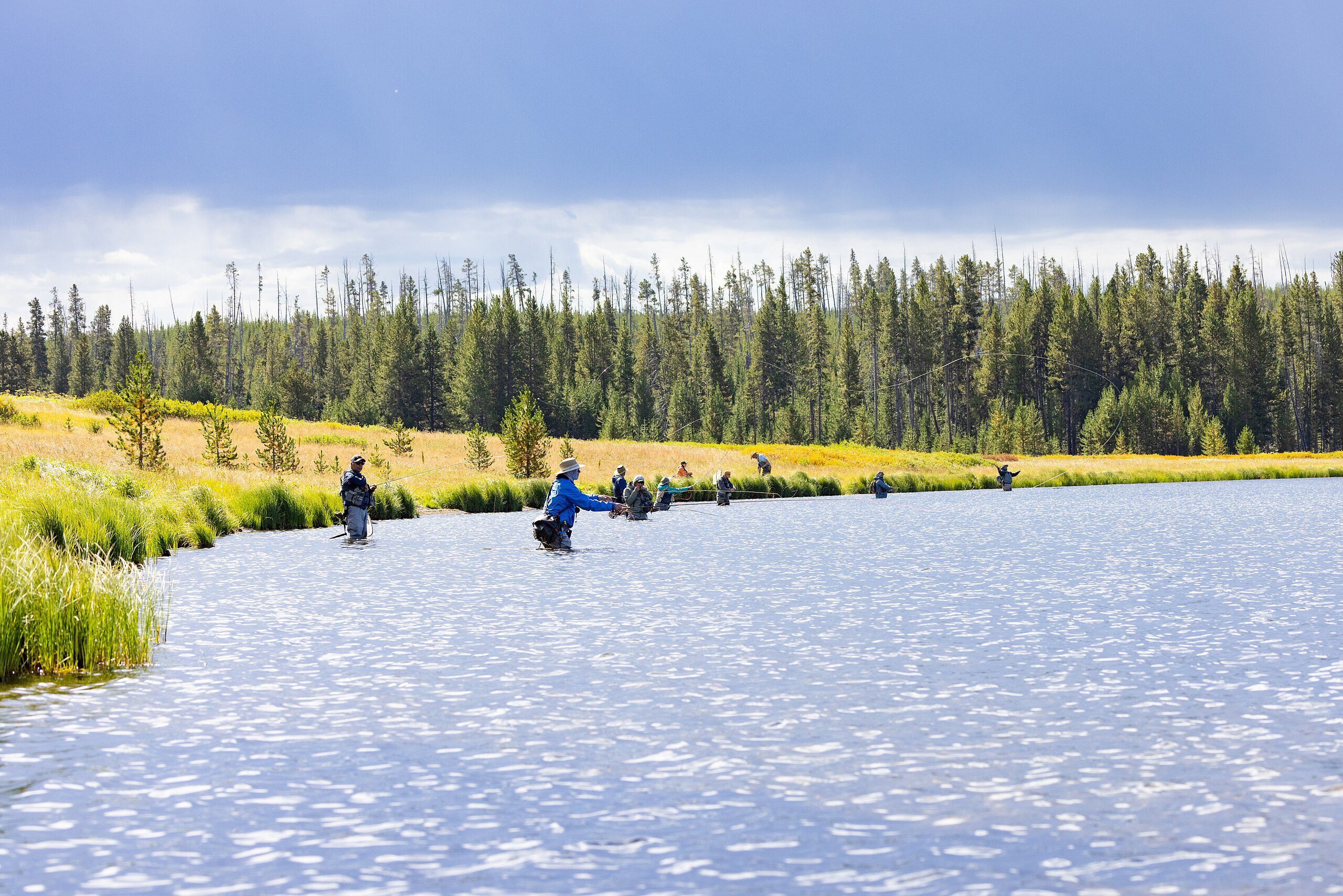 Fly fishing at Yellowstone. National Park Service public domain image.