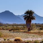 West of Phoenix scenery (licensed content)