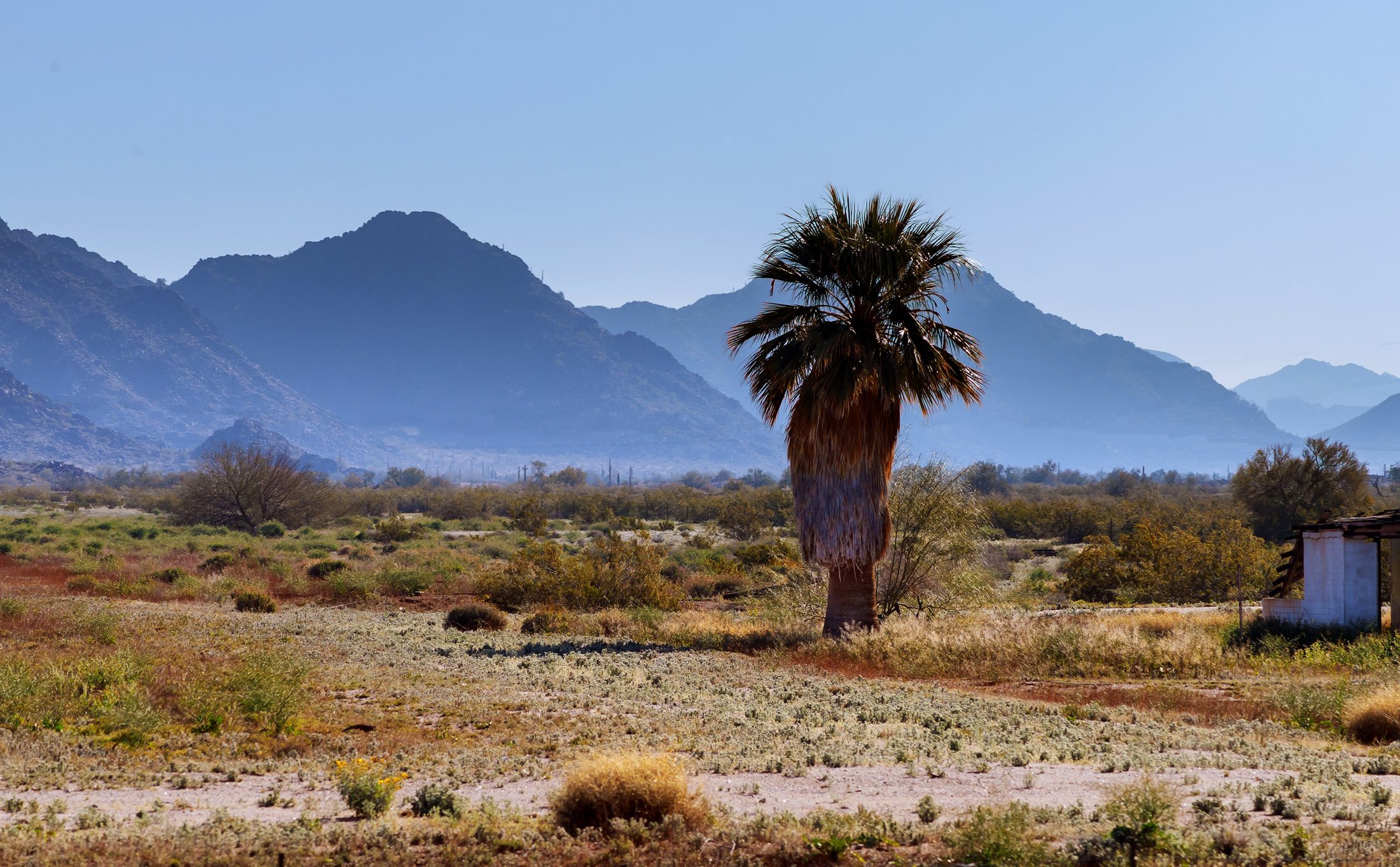 West of Phoenix scenery (licensed content)