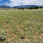 A view of the Capitan Mountains in New Mexico