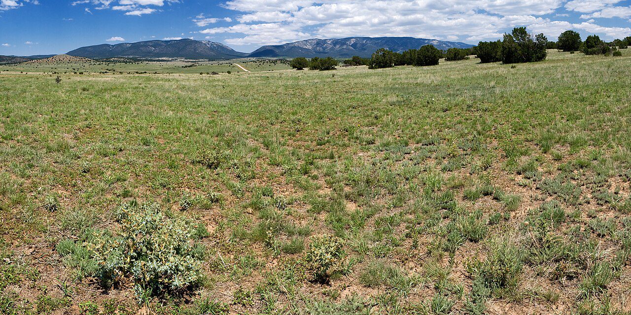 A view of the Capitan Mountains in New Mexico