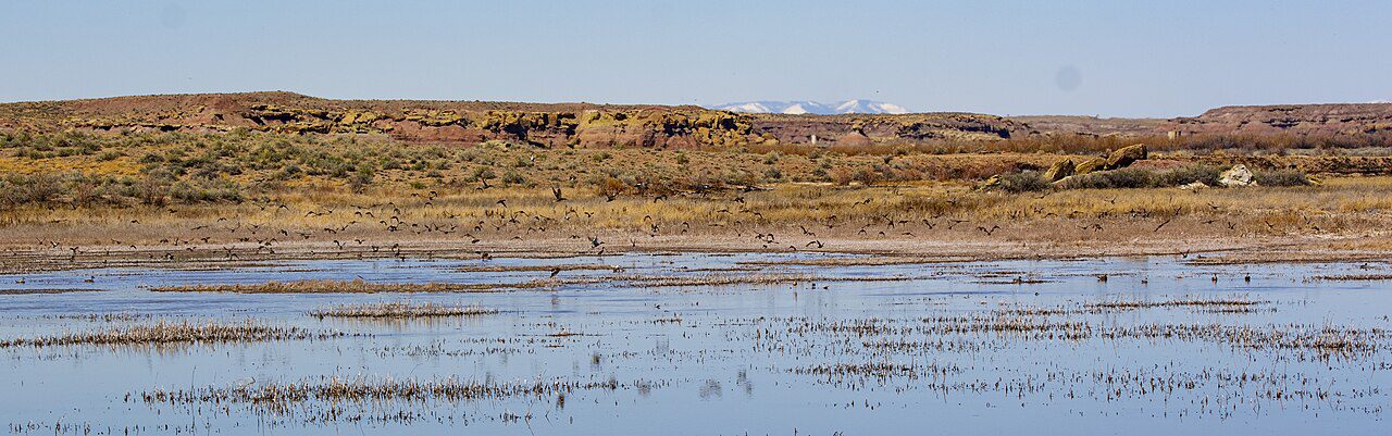 The Pariette Wetlands in Utah