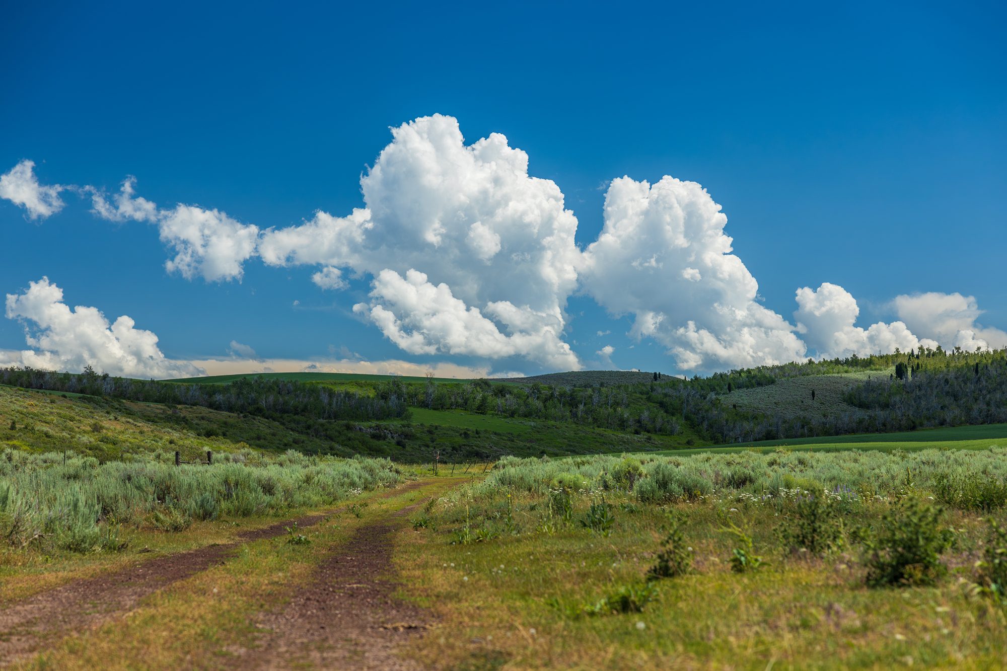 A road, sage and clouds on a beautiful summer day (licensed image)