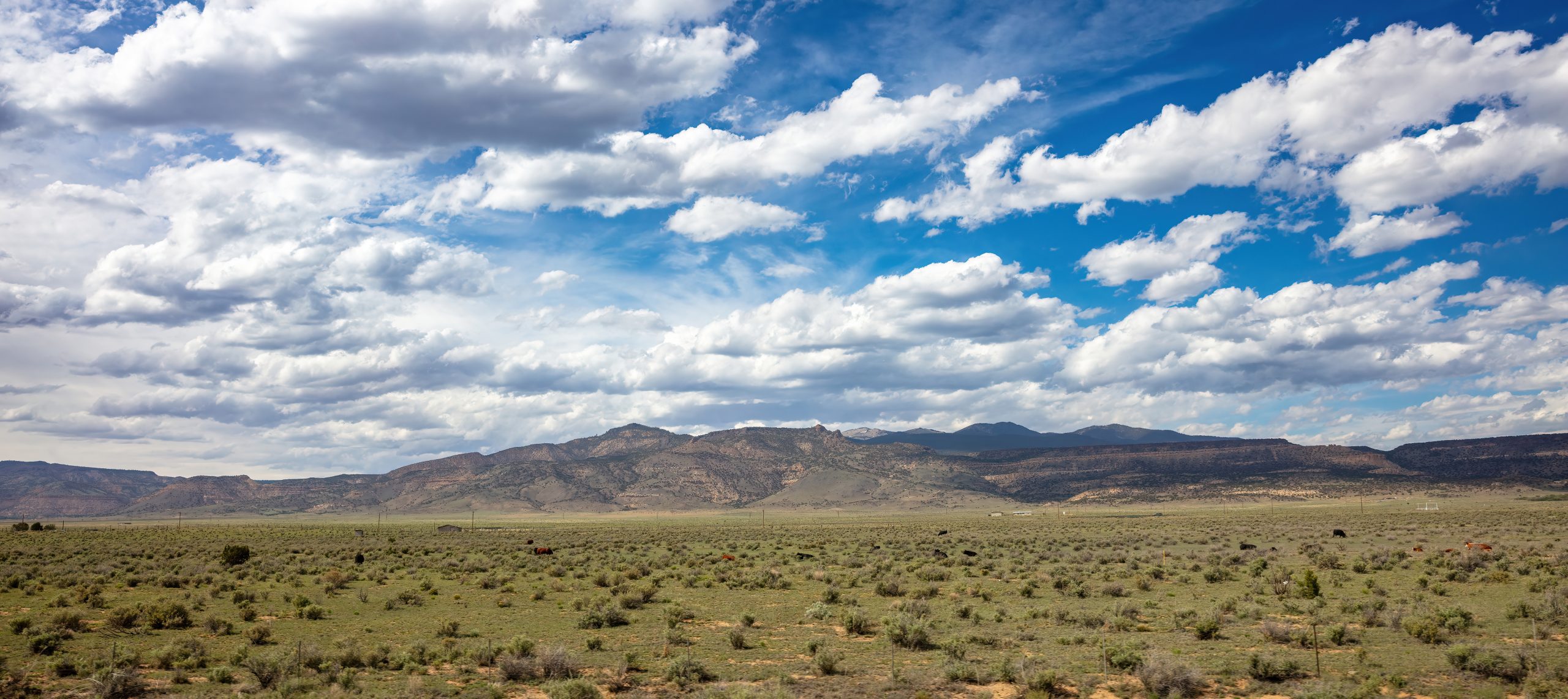 New Mexico