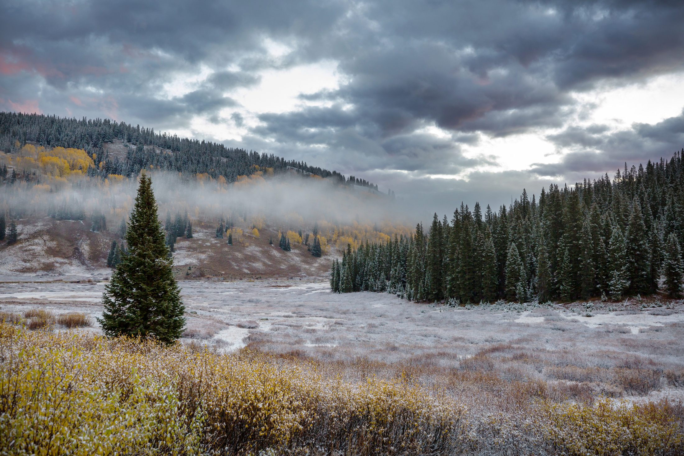 A flooding river in Colorado, autumn