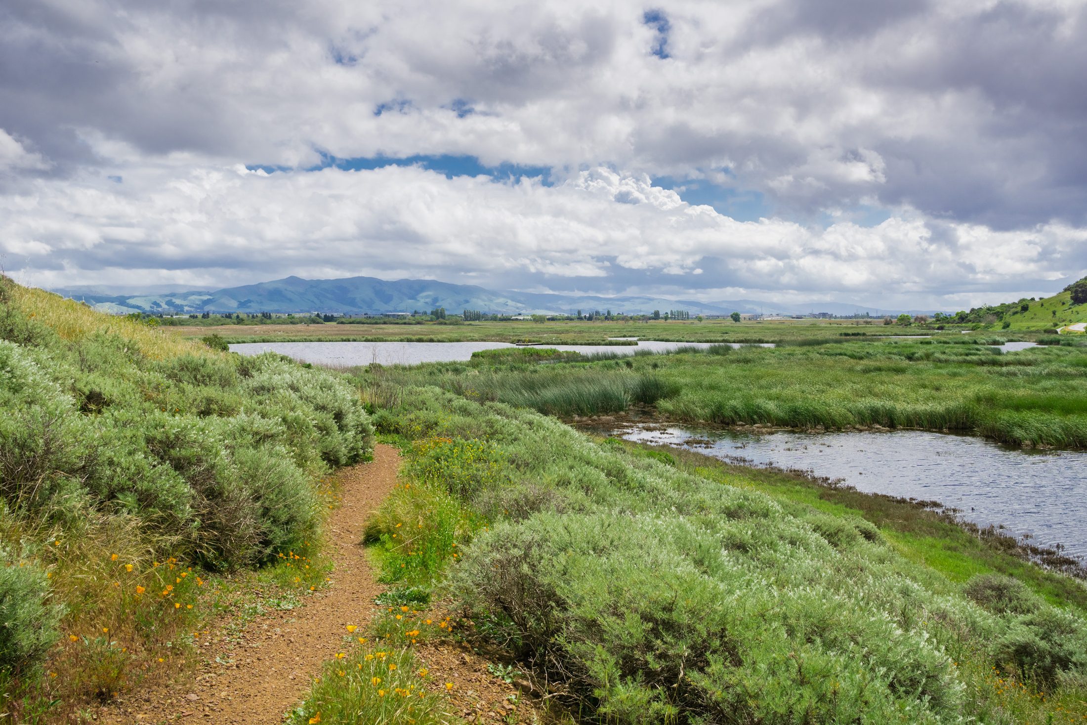 An image depicting wetlands: Coyote Hills Regional Park, California