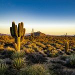 Arizona studies water import projects